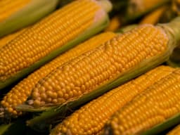 Crops
