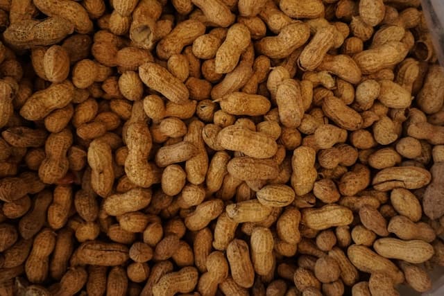 Fresh Groundnuts (Peanuts) 