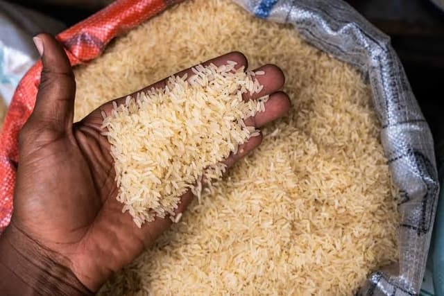 Premium Nigerian Local Rice Fresh from Our Farm to Your Table 
