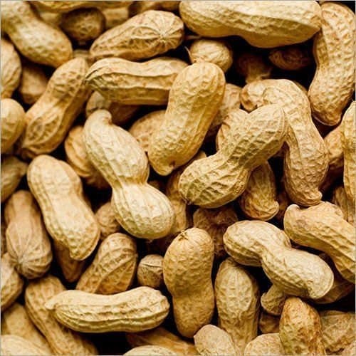 Fresh Groundnuts (Peanuts)